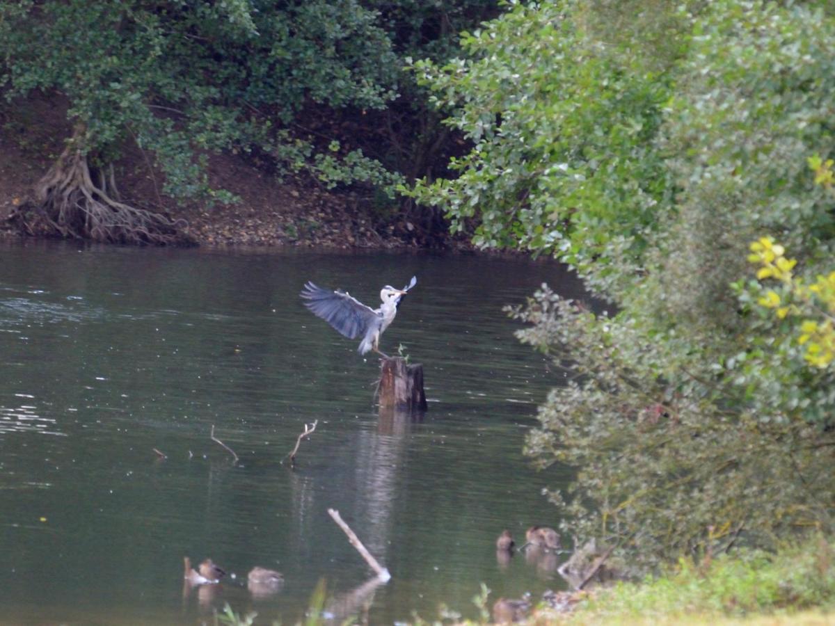 La Ravine Au Bord Du Loing Villa Montigny-sur-Loing Buitenkant foto